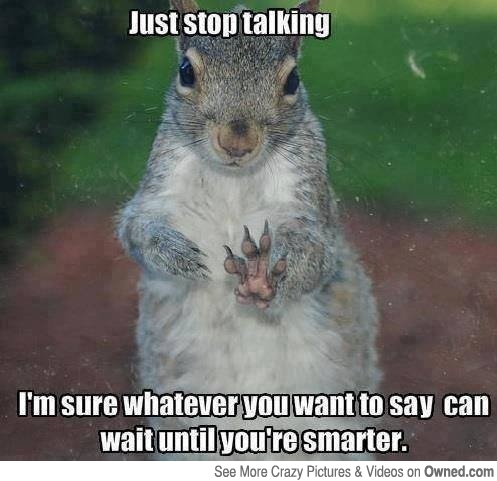 squirrel-shut-up